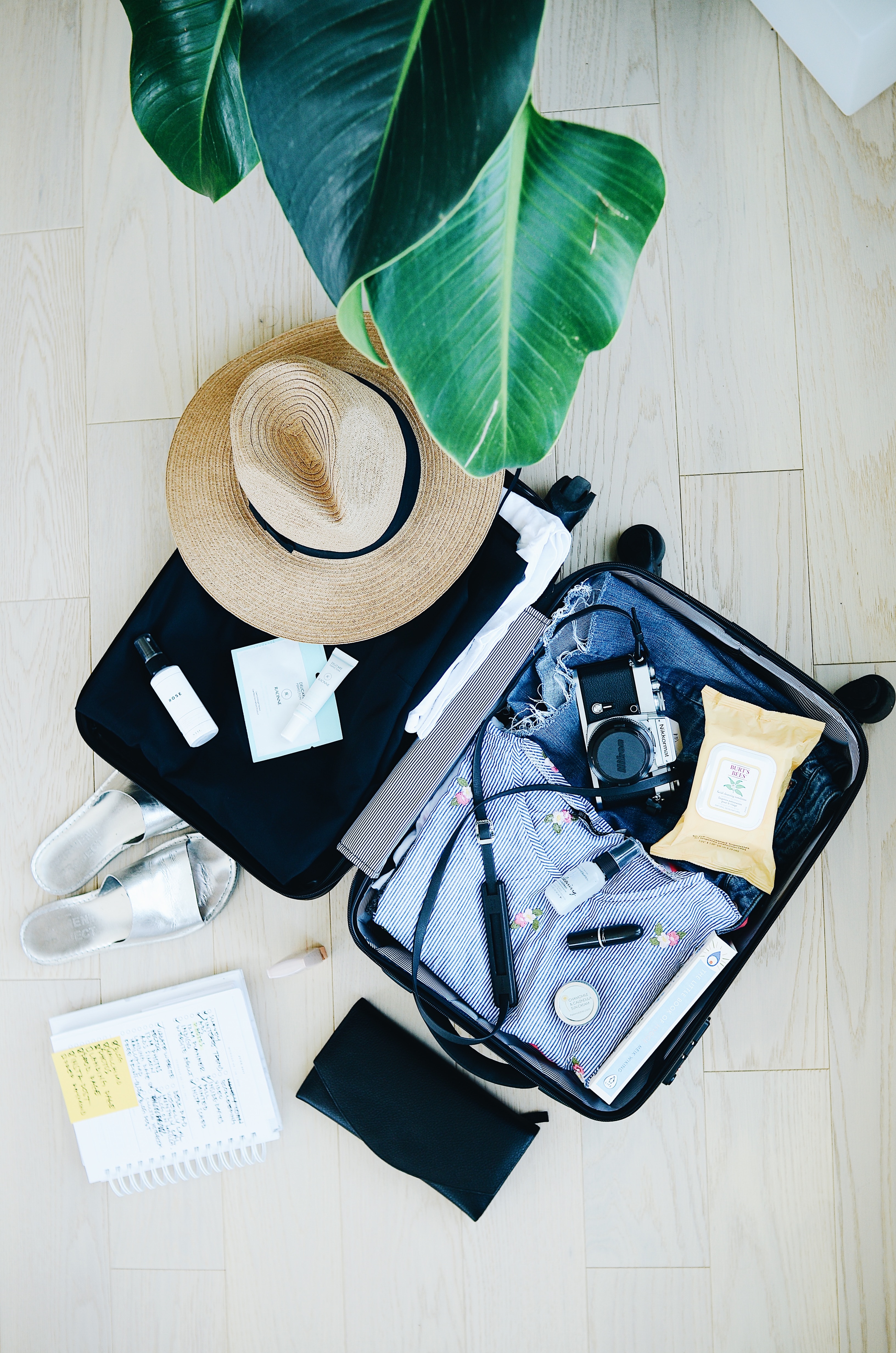 study abroad